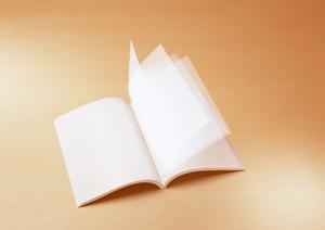 ガチャガチャの森：子供から大人まで楽しめる多彩なガチャ体験を提供する人気店舗